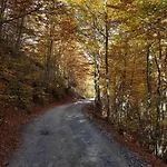 Panorama Pensión