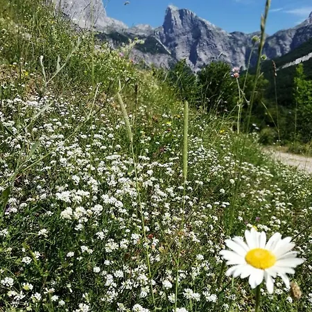 Panorama 2*