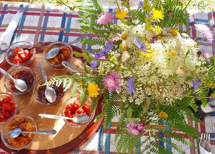 Panorama Guest house