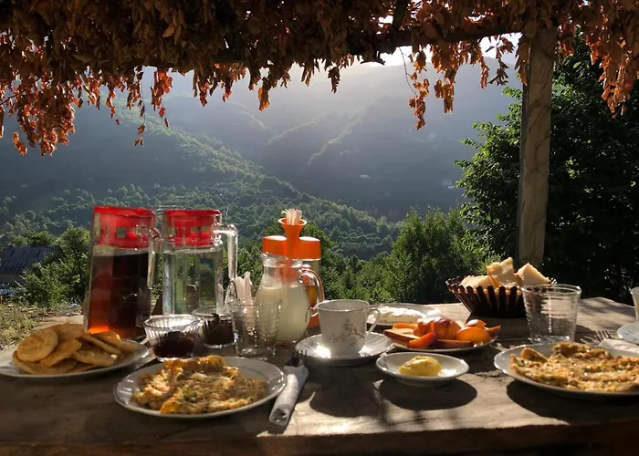 Panorama Guest house 2*