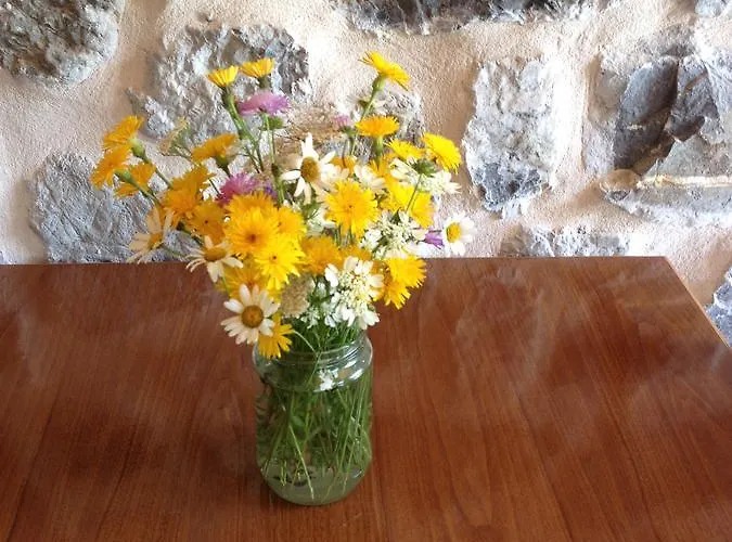 Guest house Panorama